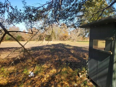 80 Acre Rec Land With Old Hunting Cabin, And Utilities! - image 3