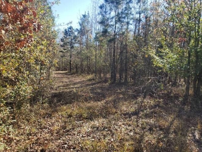 80 Acre Rec Land With Old Hunting Cabin, And Utilities! - image 12