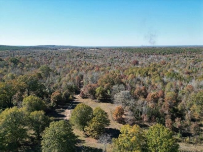 80 Acre Rec Land With Old Hunting Cabin, And Utilities! - image 29