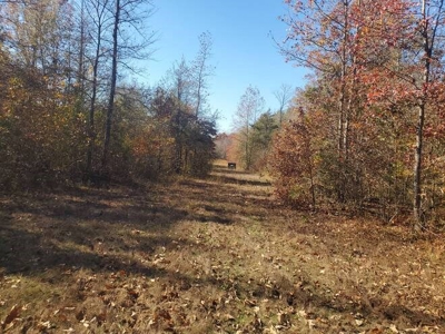 80 Acre Rec Land With Old Hunting Cabin, And Utilities! - image 9