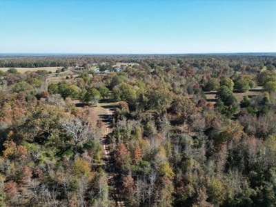 80 Acre Rec Land With Old Hunting Cabin, And Utilities! - image 32