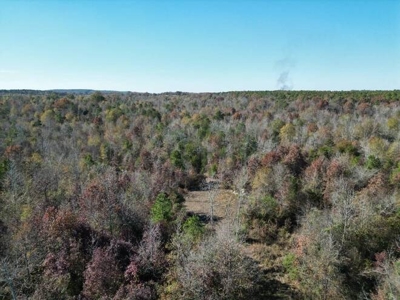 80 Acre Rec Land With Old Hunting Cabin, And Utilities! - image 40