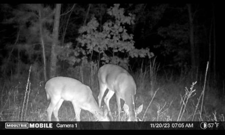 80 Acre Rec Land With Old Hunting Cabin, And Utilities! - image 37