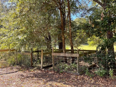 Country Home For Sale In Levy County Florida! - image 24