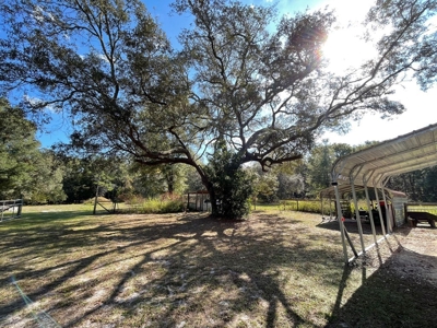 Country Home For Sale In Levy County Florida! - image 23