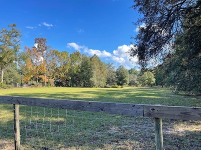 Country Home For Sale In Levy County Florida! - image 3