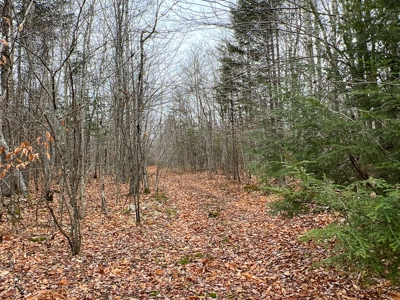 Waters Road Homestead - image 18
