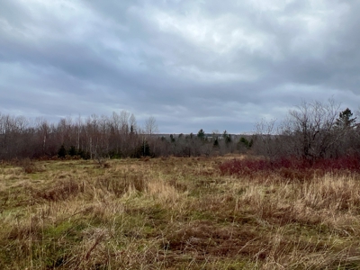 Waters Road Homestead - image 4