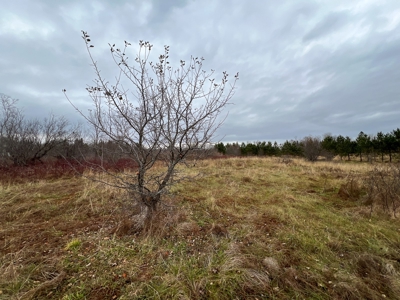 Waters Road Homestead - image 3