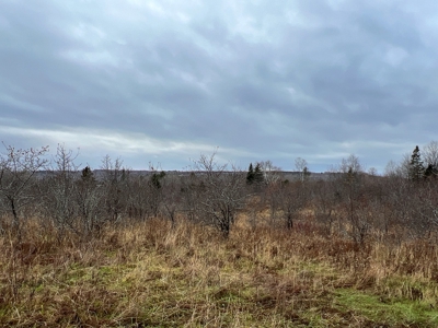 Waters Road Homestead - image 10