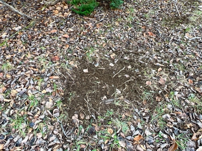 Waters Road Homestead - image 21