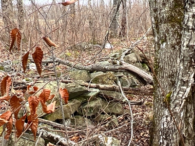 Waters Road Homestead - image 24
