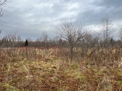 Waters Road Homestead - image 8