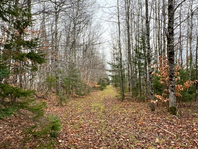 Waters Road Homestead - image 19