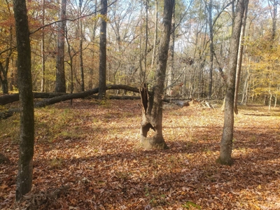 3 Bed 2 Bath Home On 30 Acres Pond & Creek 4 Sale Sawyer Ok - image 48