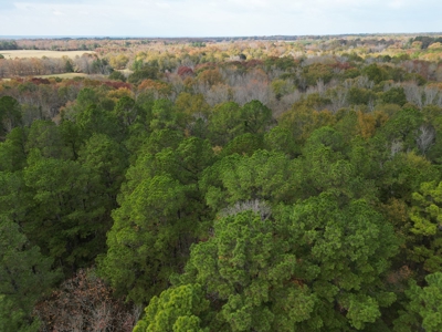 3 Bed 2 Bath Home On 30 Acres Pond & Creek 4 Sale Sawyer Ok - image 14