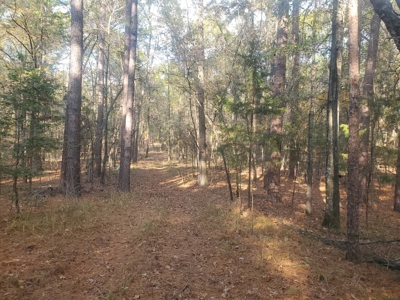 3 Bed 2 Bath Home On 30 Acres Pond & Creek 4 Sale Sawyer Ok - image 29