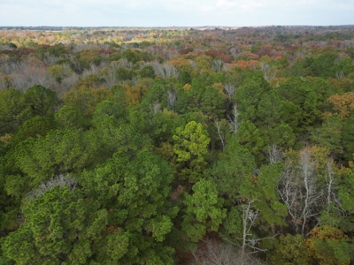 3 Bed 2 Bath Home On 30 Acres Pond & Creek 4 Sale Sawyer Ok - image 13