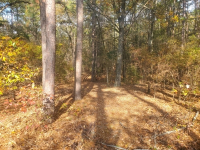 3 Bed 2 Bath Home On 30 Acres Pond & Creek 4 Sale Sawyer Ok - image 39