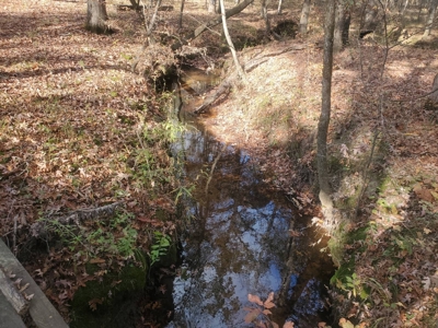 3 Bed 2 Bath Home On 30 Acres Pond & Creek 4 Sale Sawyer Ok - image 42