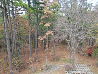 3 Bed 2 Bath Home On 30 Acres Pond & Creek 4 Sale Sawyer Ok - image 12