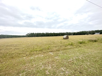 Beautiful 5 Acre Hayfield For Sale !!!! - image 1