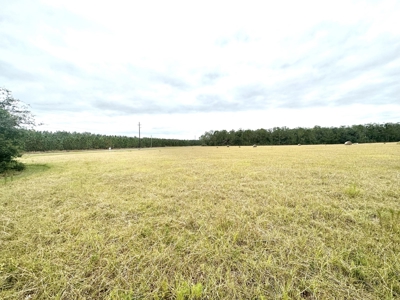 Beautiful 5 Acre Hayfield For Sale !!!! - image 3