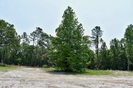 Offering 3 Recreational Land for Sale in Camden SC - image 19