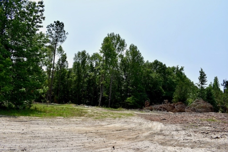 Offering 3 Recreational Land for Sale in Camden SC - image 24
