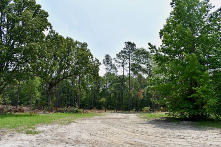 Offering 4 Land for Sale at Auction in Camden SC - image 25
