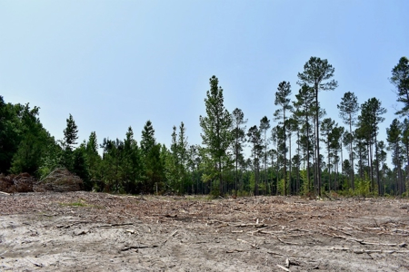 Offering 4 Land for Sale at Auction in Camden SC - image 23