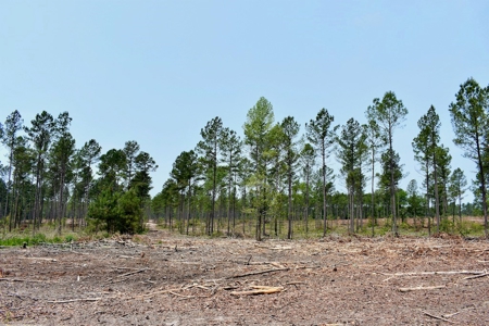 Offering 4 Land for Sale at Auction in Camden SC - image 26