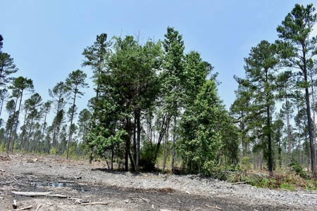 Offering 4 Land for Sale at Auction in Camden SC - image 22