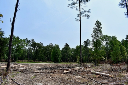 Offering 4 Land for Sale at Auction in Camden SC - image 12