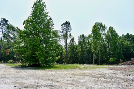 Offering 4 Land for Sale at Auction in Camden SC - image 18