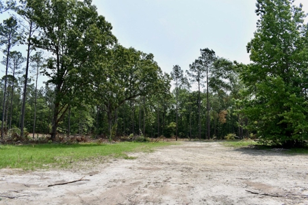 Offering 4 Land for Sale at Auction in Camden SC - image 20