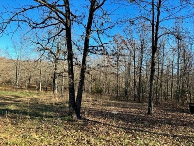 Country Home in Alton, Missouri - image 3