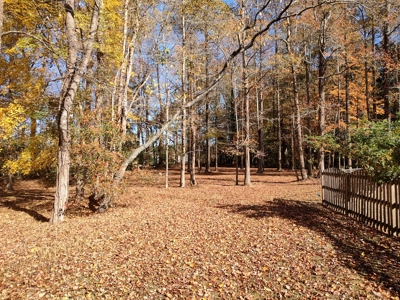 Large Wooded Homesite in Tree Shade - image 2