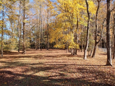 Large Wooded Homesite in Tree Shade - image 1