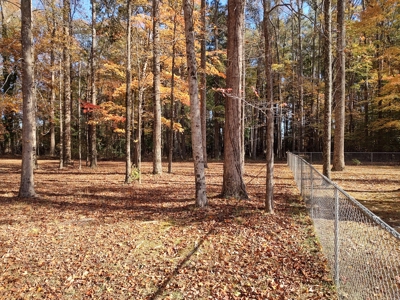 Large Wooded Homesite in Tree Shade - image 4