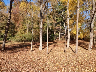 Large Wooded Homesite in Tree Shade - image 3