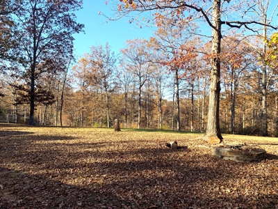 Equestrian Ranch With 2 Homes And Horse Stalls! - image 21