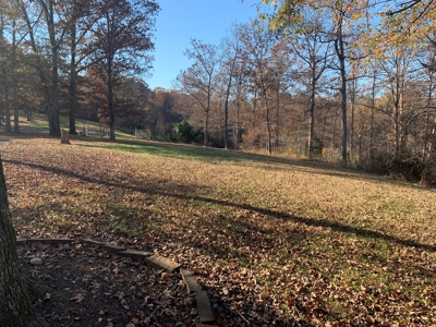 Equestrian Ranch With 2 Homes And Horse Stalls! - image 16