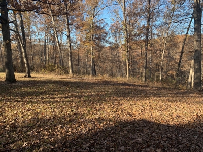 Equestrian Ranch With 2 Homes And Horse Stalls! - image 17
