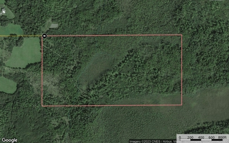 80 Acres of Land w/ Trails & Stands for Sale in Mahtowa MN - image 20