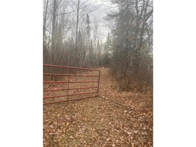 80 Acres of Land w/ Trails & Stands for Sale in Mahtowa MN - image 2