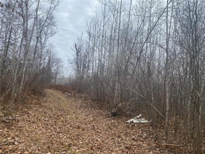 80 Acres of Land w/ Trails & Stands for Sale in Mahtowa MN - image 16