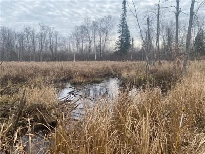 80 Acres of Land w/ Trails & Stands for Sale in Mahtowa MN - image 6