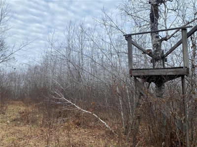 80 Acres of Land w/ Trails & Stands for Sale in Mahtowa MN - image 18