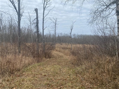 80 Acres of Land w/ Trails & Stands for Sale in Mahtowa MN - image 12